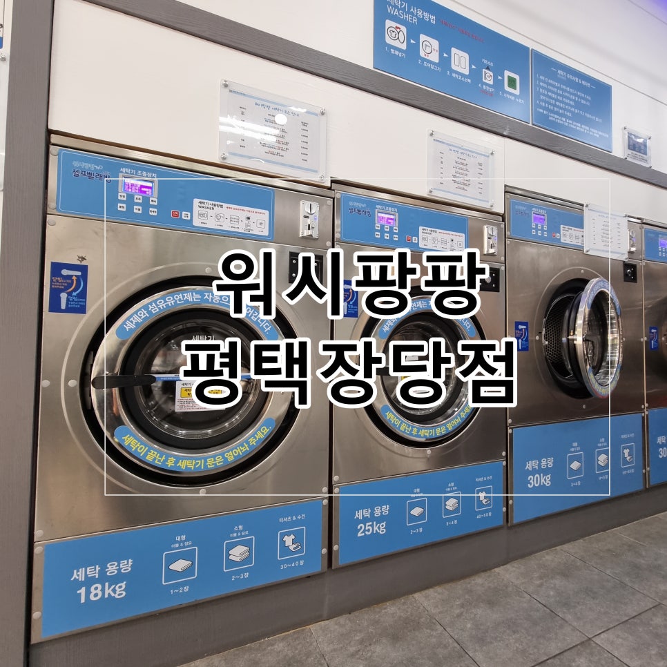 워시팡팡평택장당점 이미지