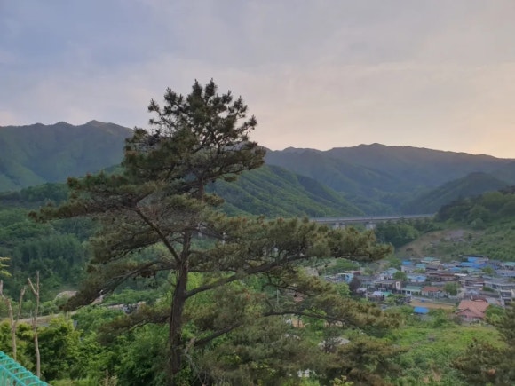 소백산산마루식당 이미지