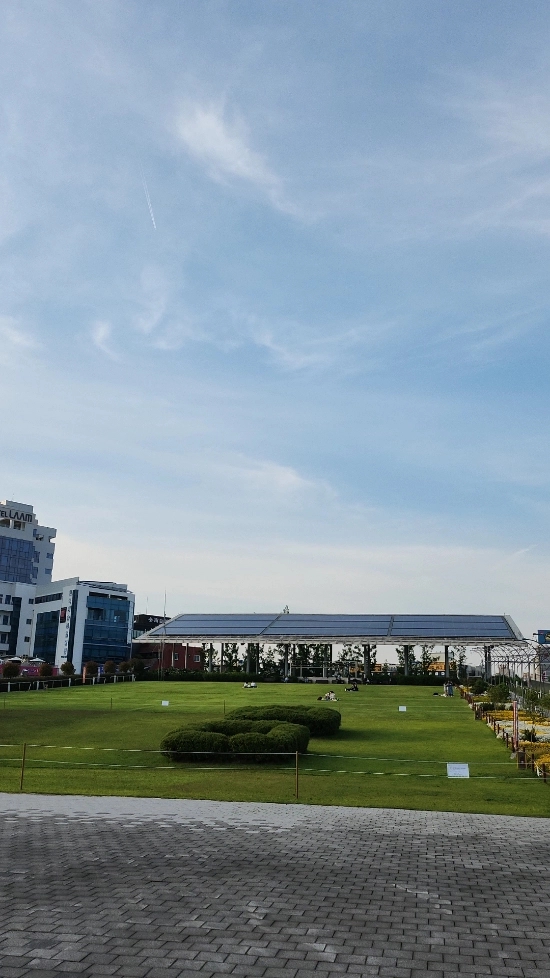 로스터리초록물고기 이미지