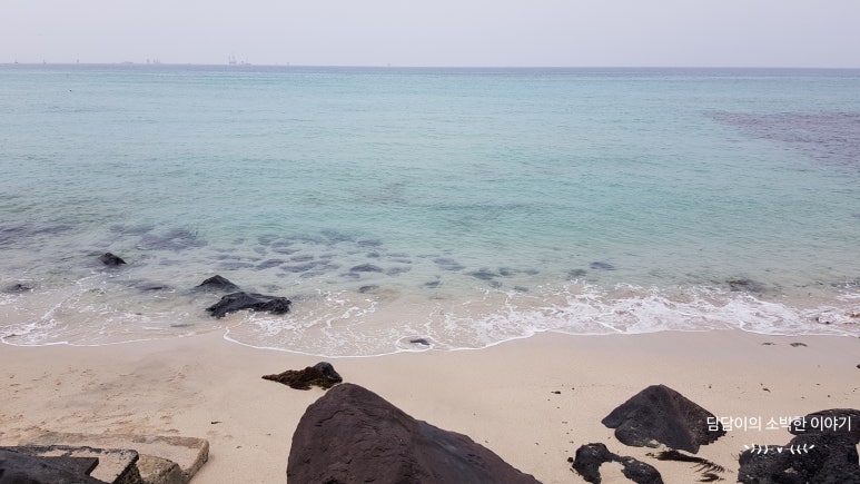 중문레지나김밥 이미지