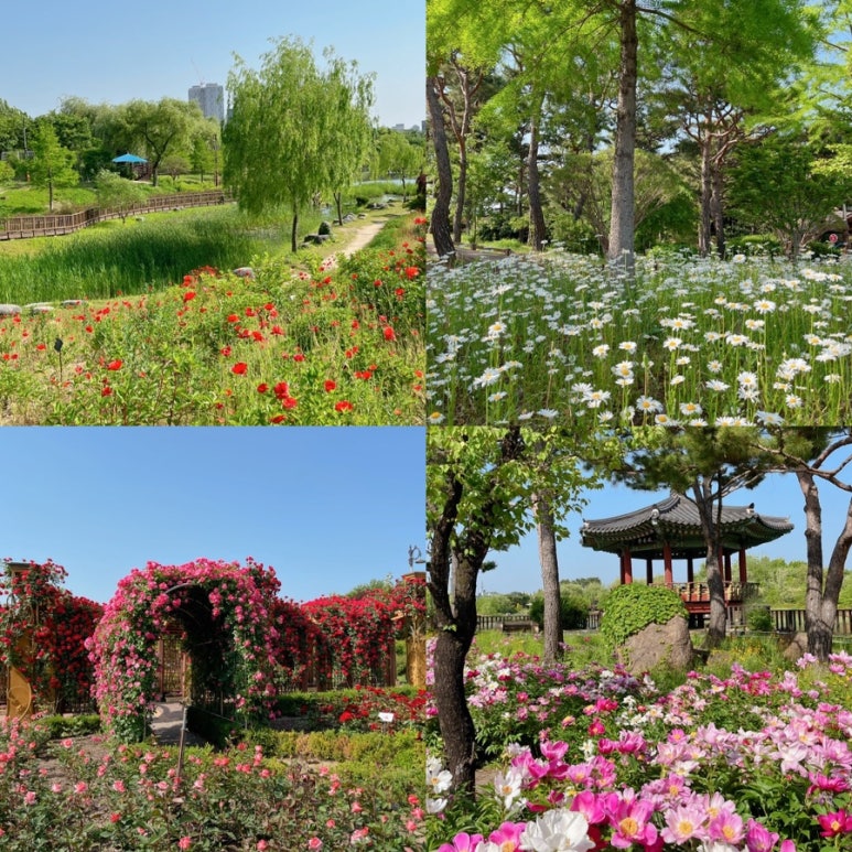 한밭화원 이미지