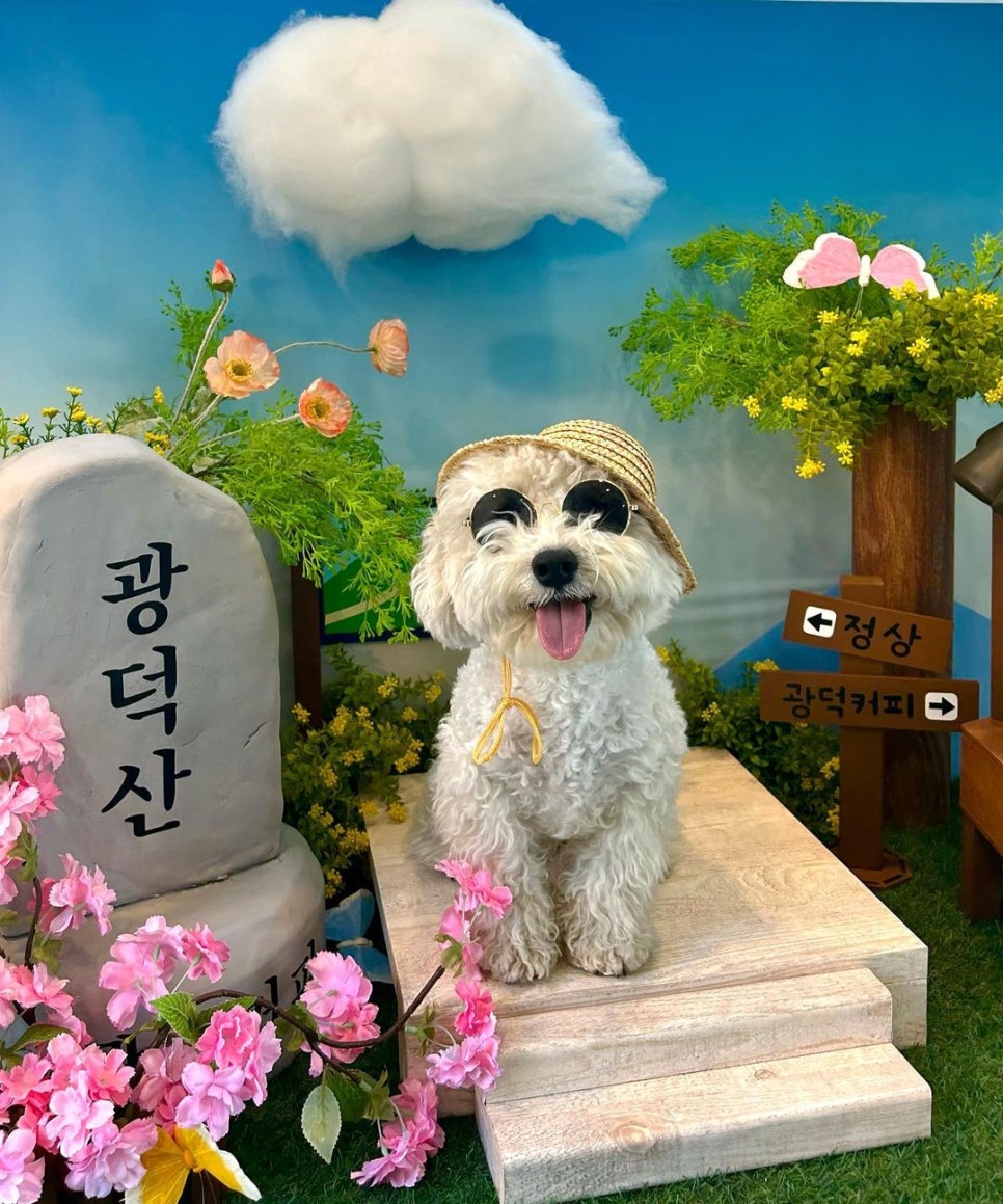 광덕커피 이미지