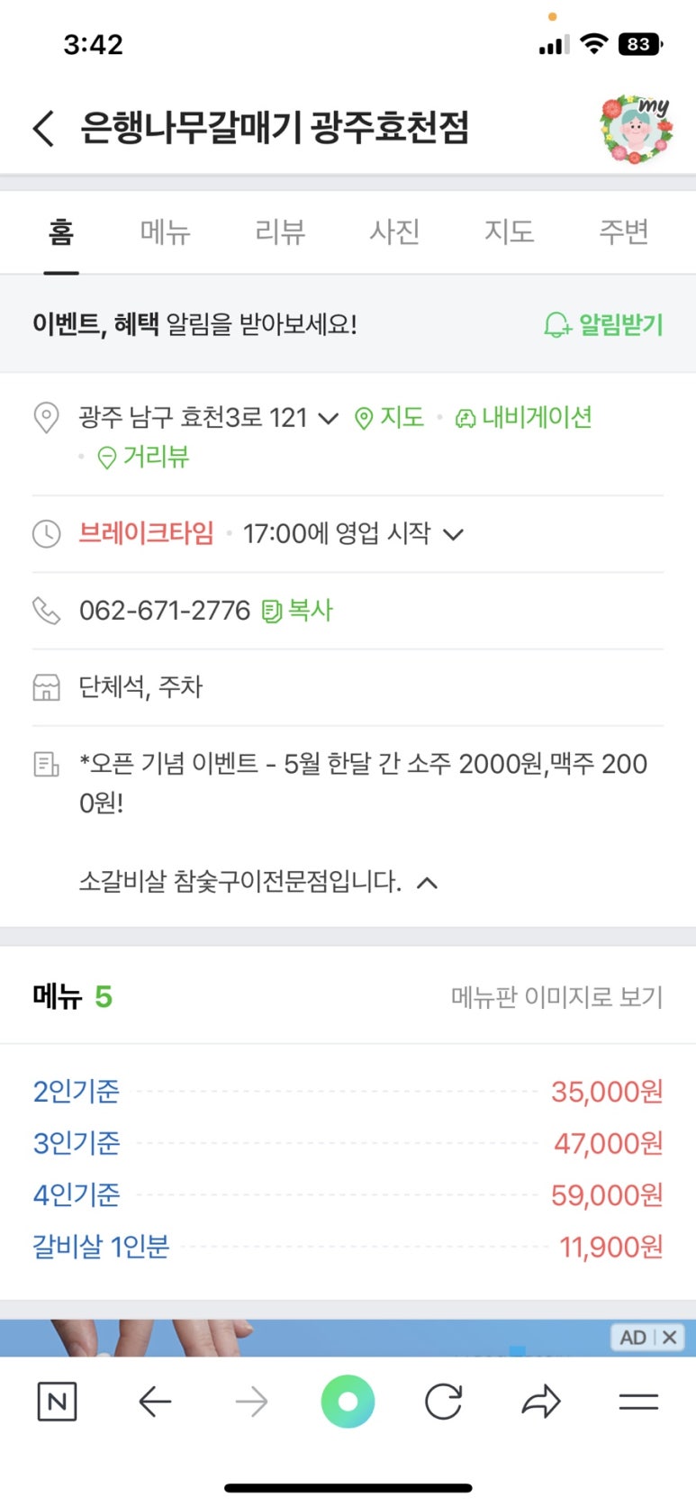 은행나무갈매기 이미지