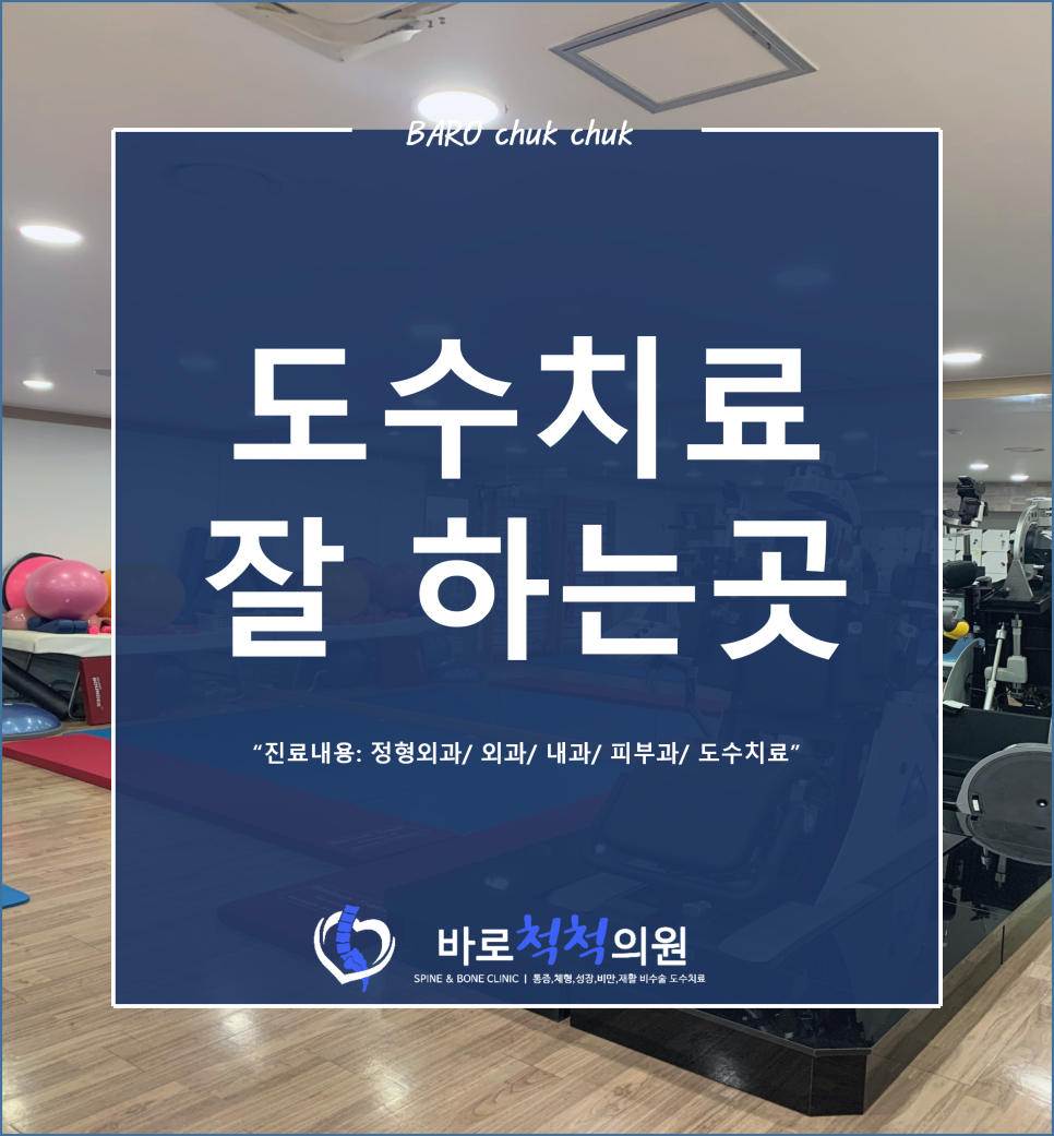 척척의원 이미지
