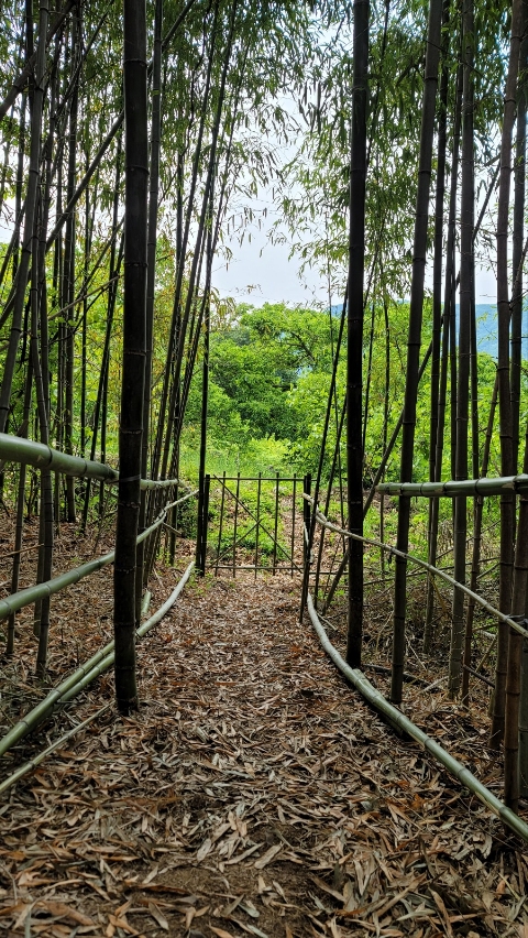 바다숲민박 이미지