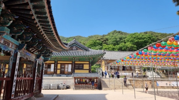 수도여관 이미지
