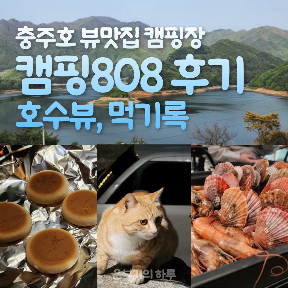 캠핑팔공팔 이미지