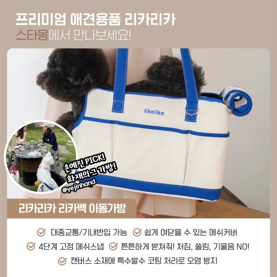 서초 스타몽 강아지 유치원: 리카리카 용품 신상 입고 — 사진 5