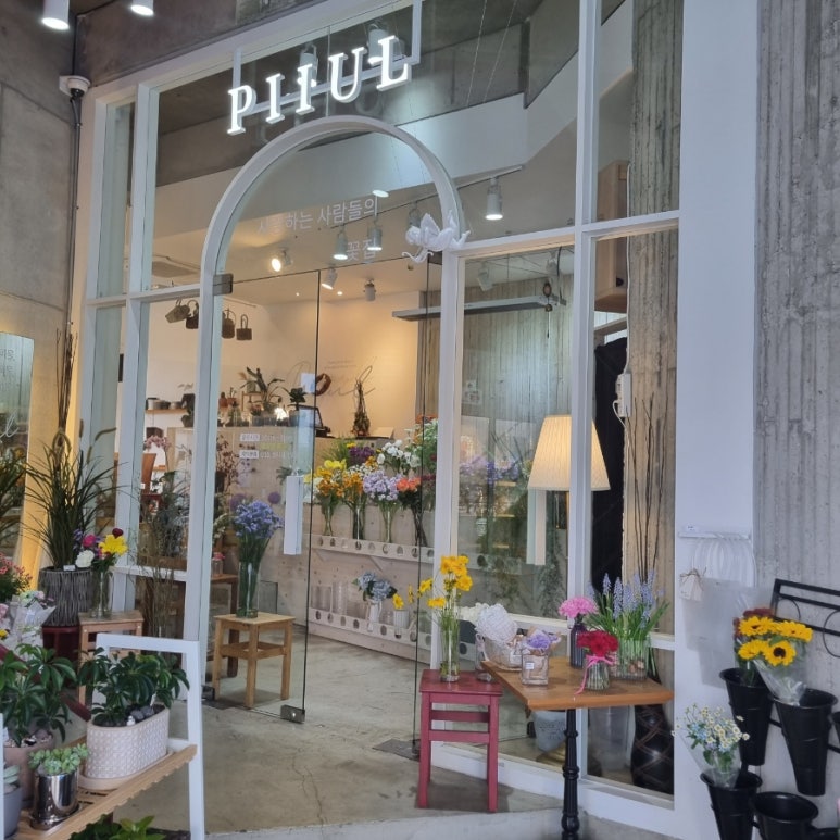 아틀리에피울 이미지