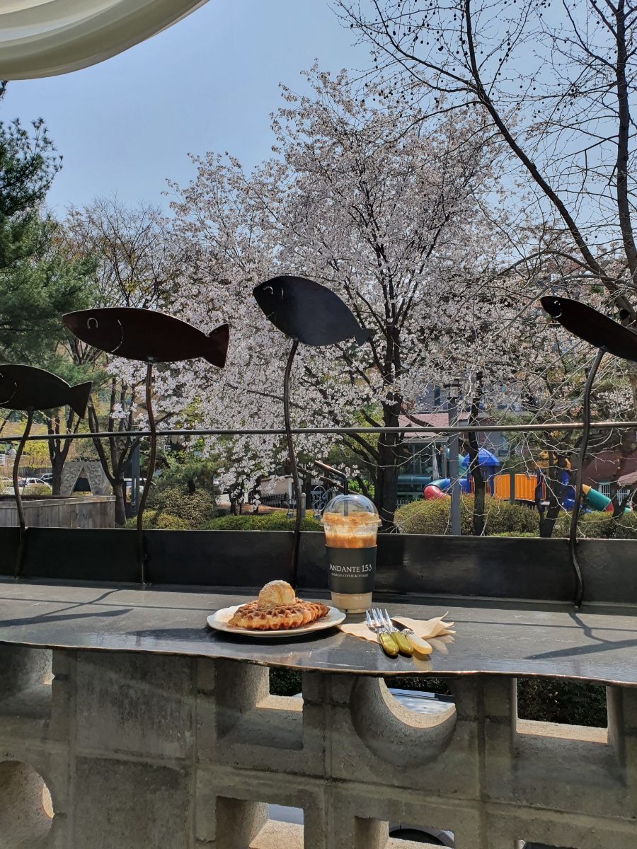 테라스카페153 이미지