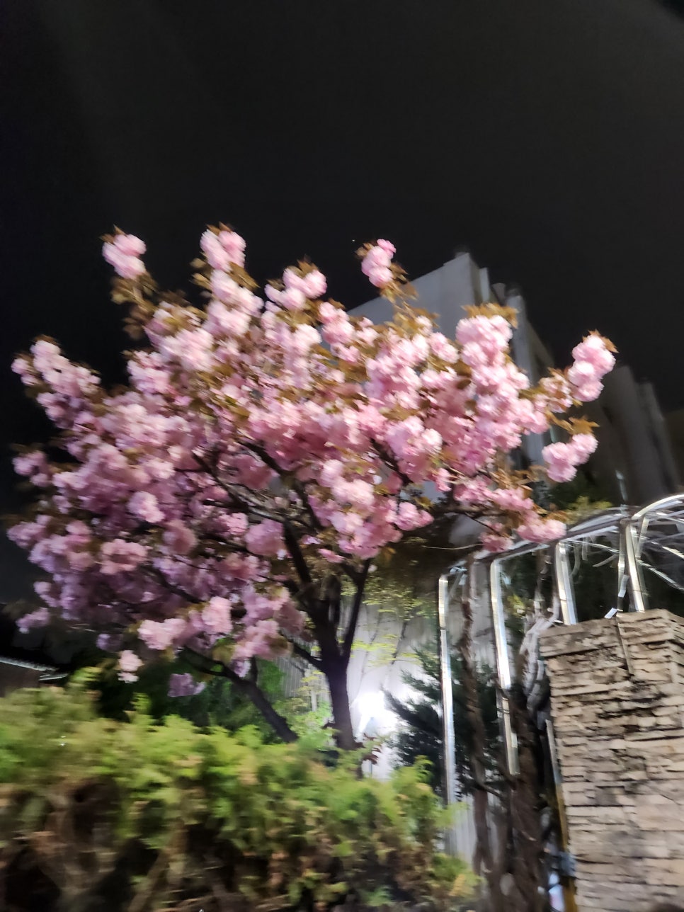 숯불직화꼬치바베큐 이미지