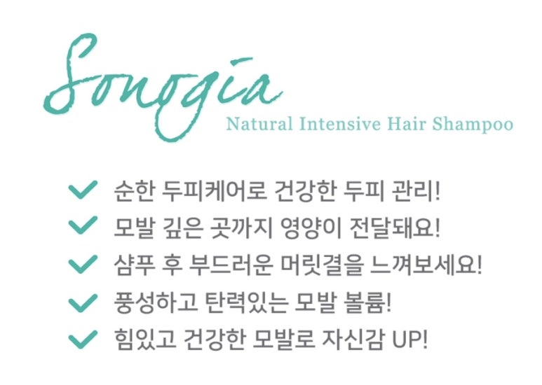 소노지아 이미지