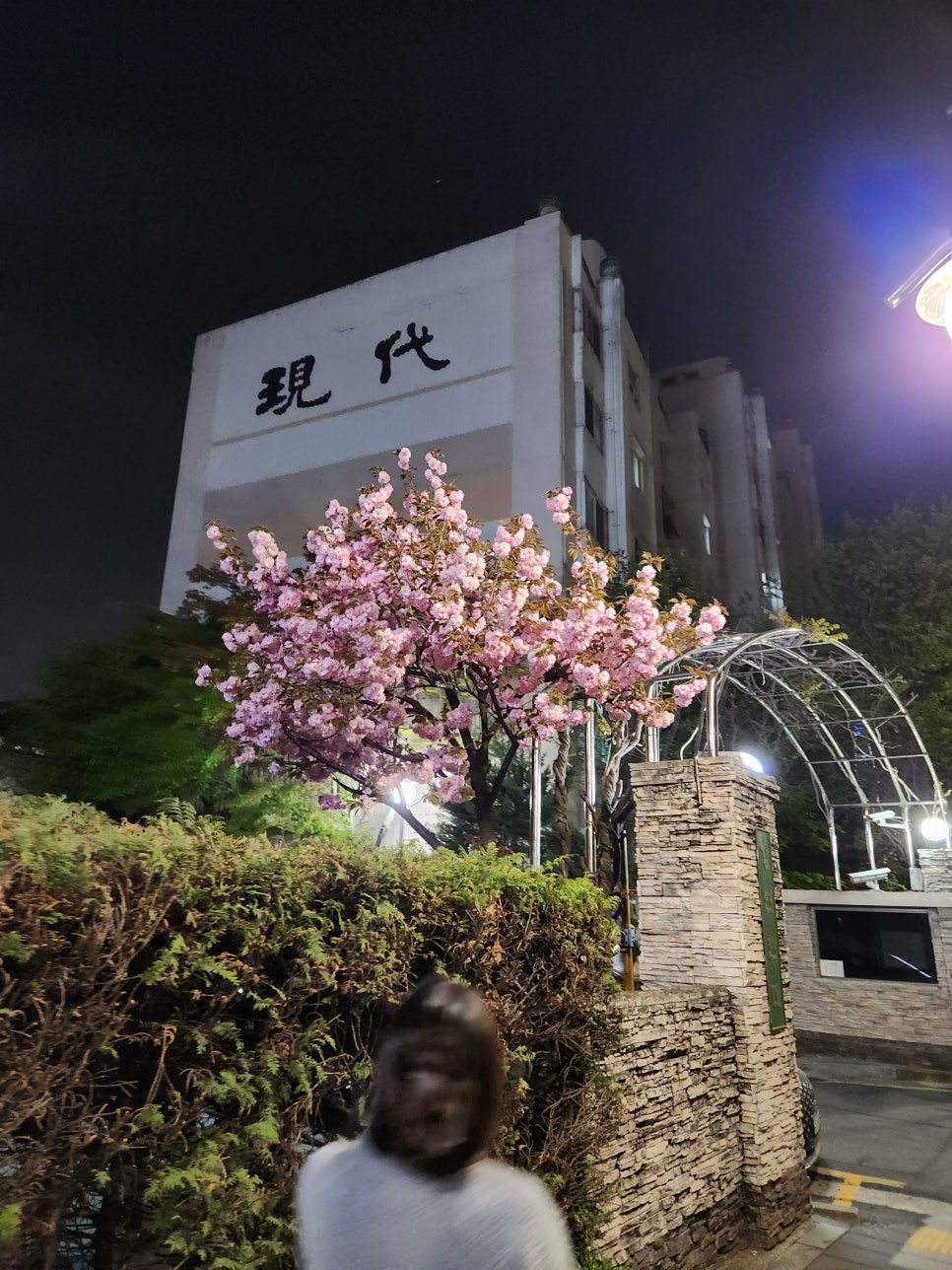 수숯불직화꼬치 이미지