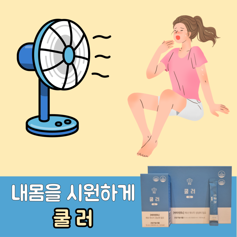 팜코덱스 이미지