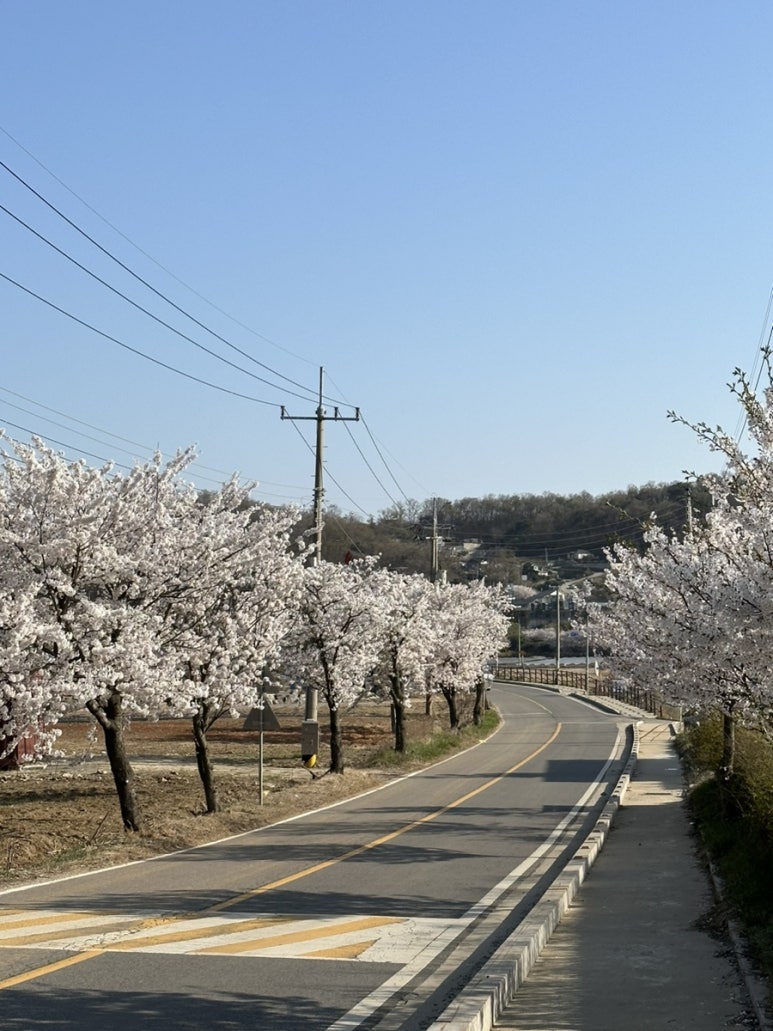 낙조힐링캠핑장 이미지