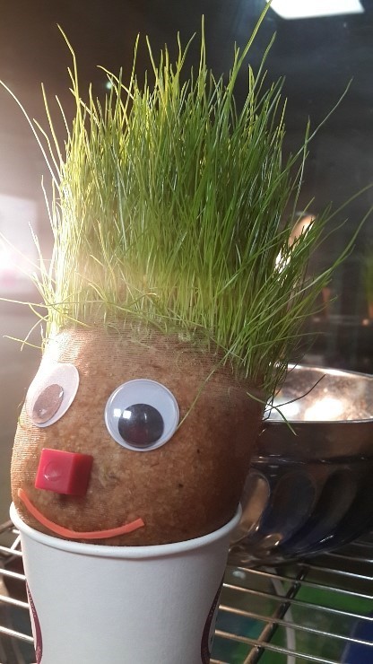 라브리지 이미지