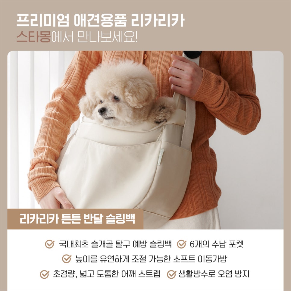 서초 스타몽 강아지 유치원: 리카리카 용품 신상 입고 — 사진 6