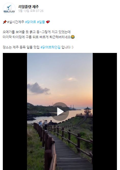 리얼플랜제주 주식회사 이미지