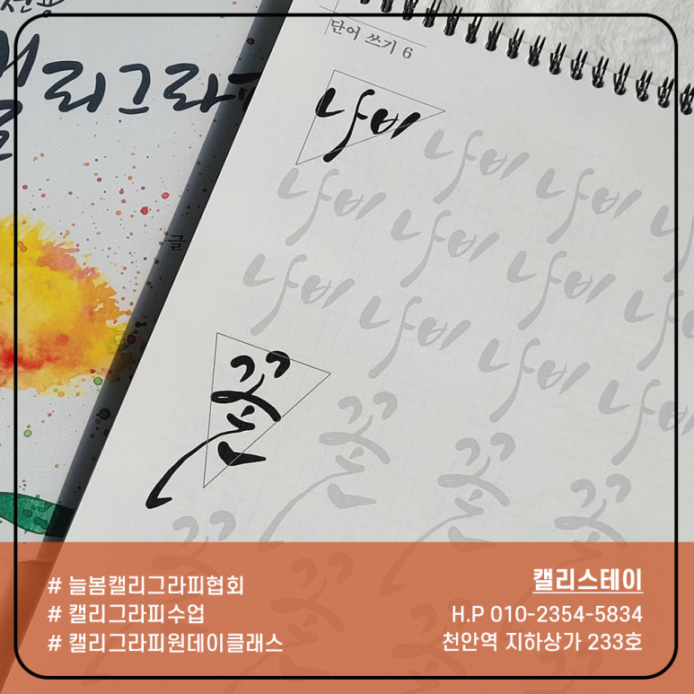 캘리스테이 이미지
