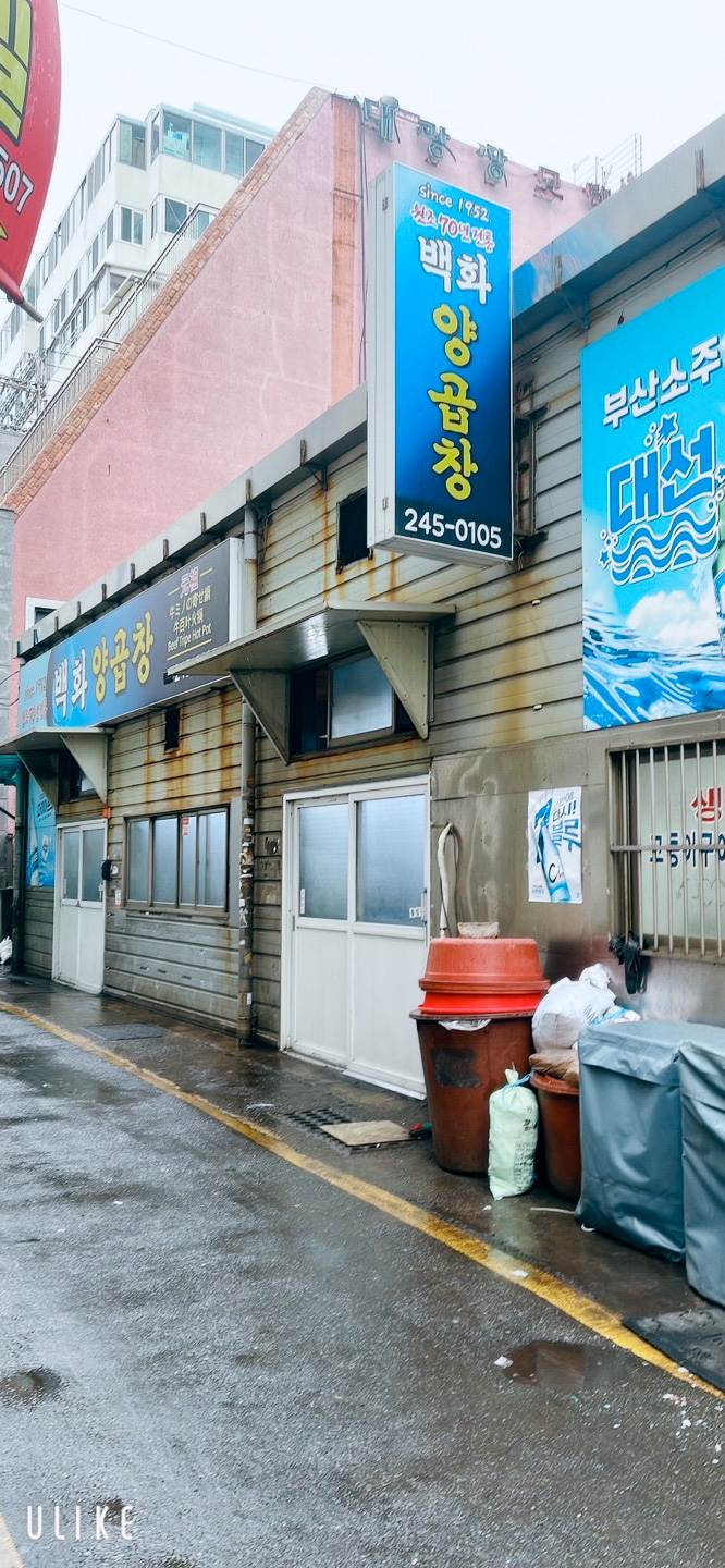백화양곱창9호 이미지