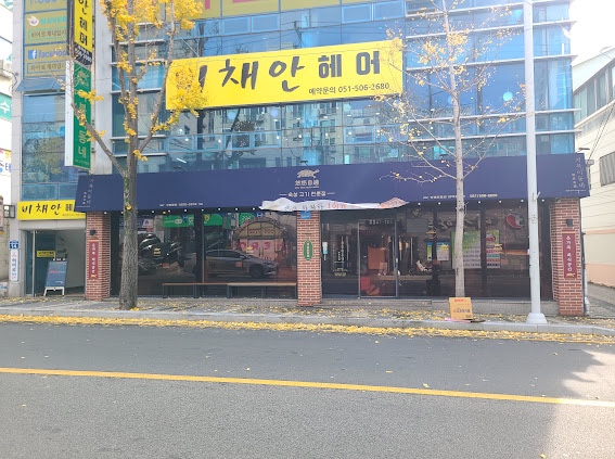 거북이동네부산 이미지