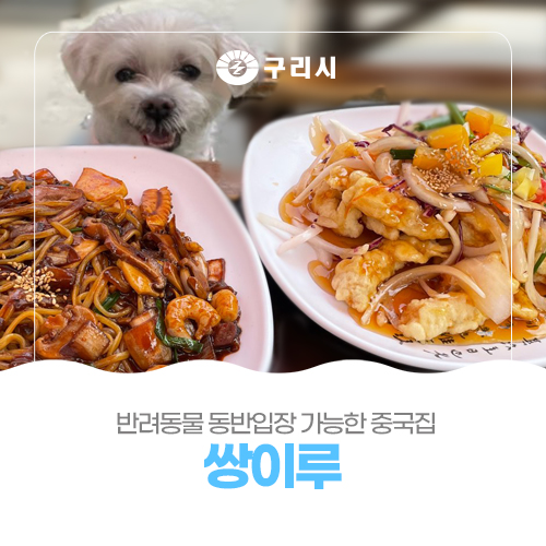 쌍이루 이미지