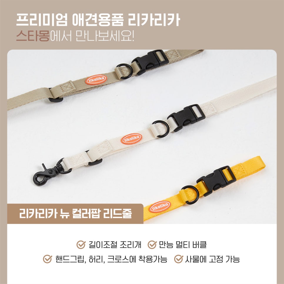 서초 스타몽 강아지 유치원: 리카리카 용품 신상 입고 — 사진 3