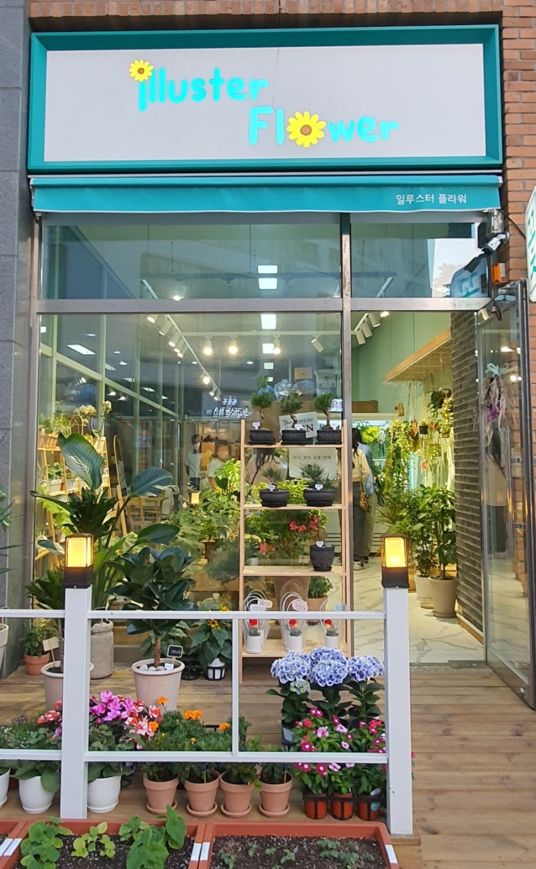 일루스터플라워 이미지