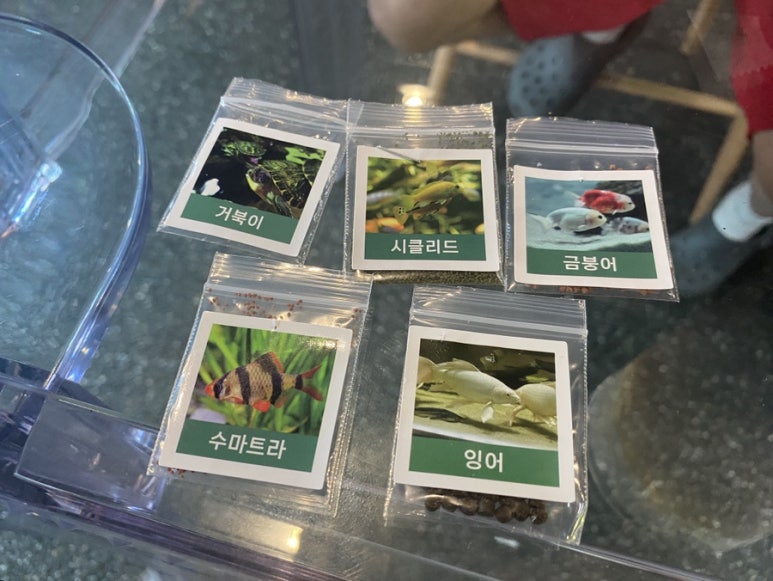 아쿠아가든카페 이미지