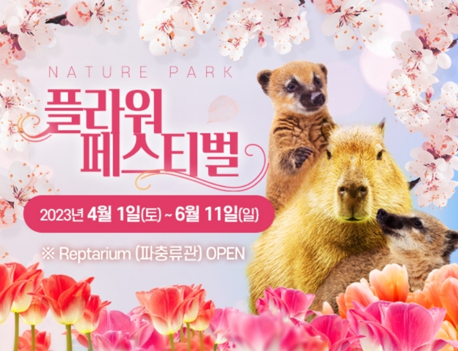 퍼플네이쳐 이미지