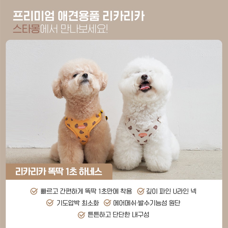 서초 스타몽 강아지 유치원: 리카리카 용품 신상 입고 — 사진 2