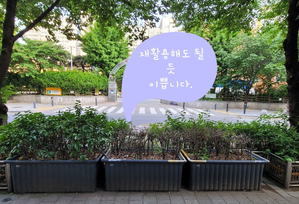 청림화분 이미지