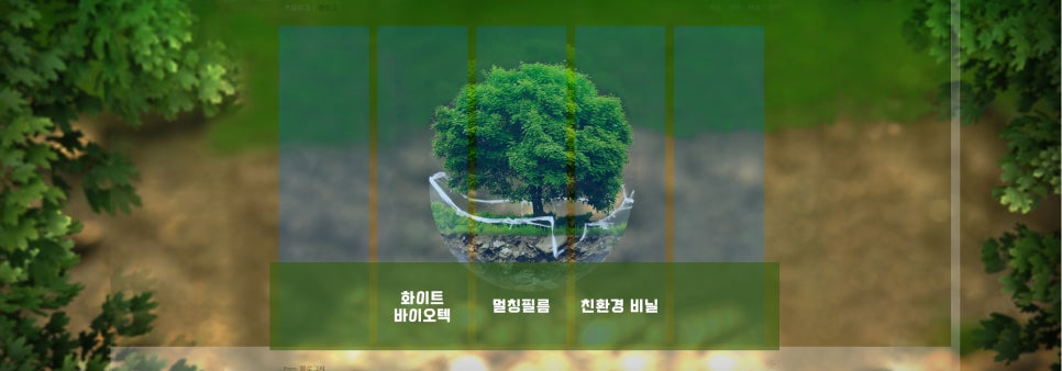 화이트환경주 이미지