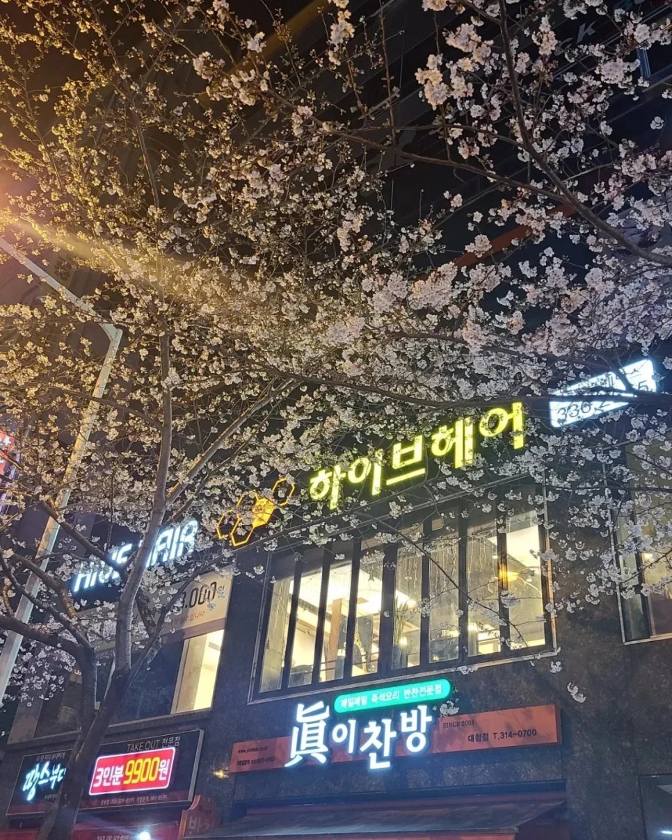 더하이브헤어 이미지