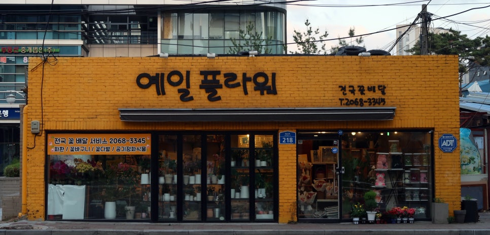 예일플라워 이미지