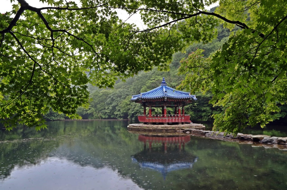 푸른분재원 이미지