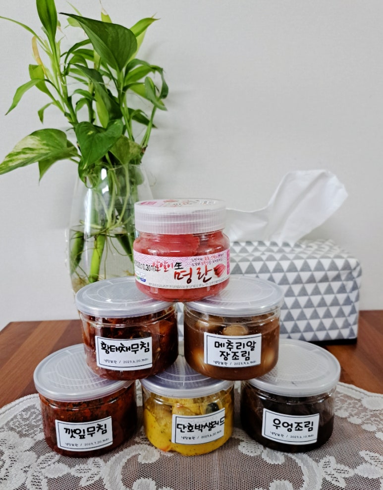 24H판다 이미지