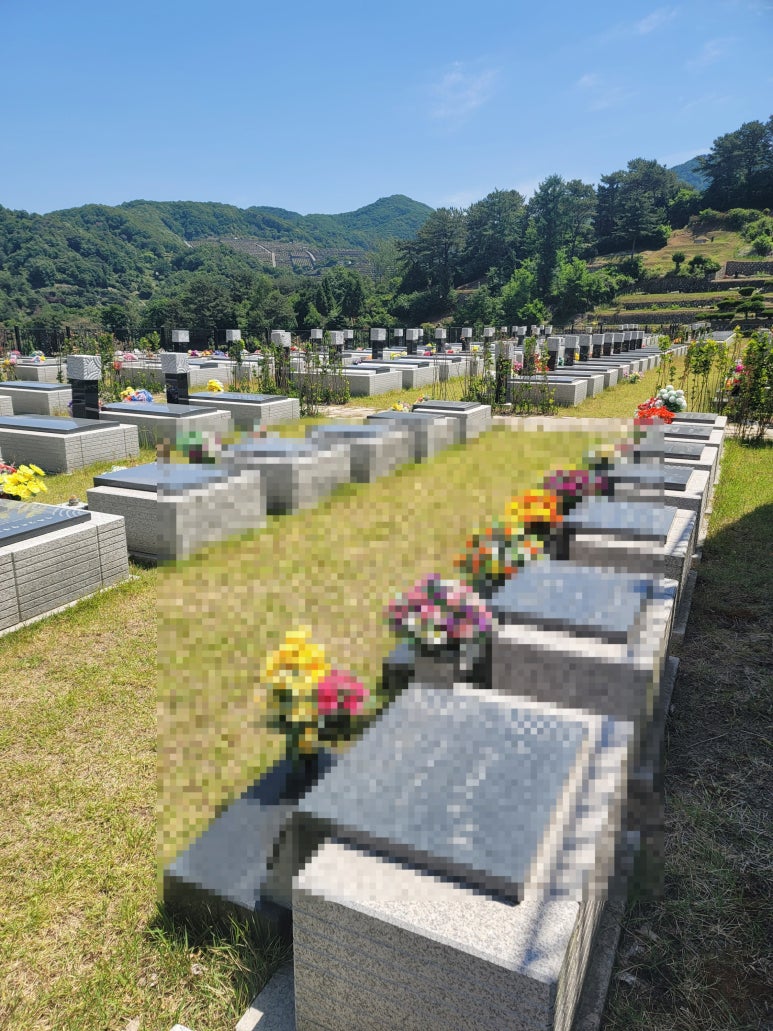 신세계후불제상조 이미지