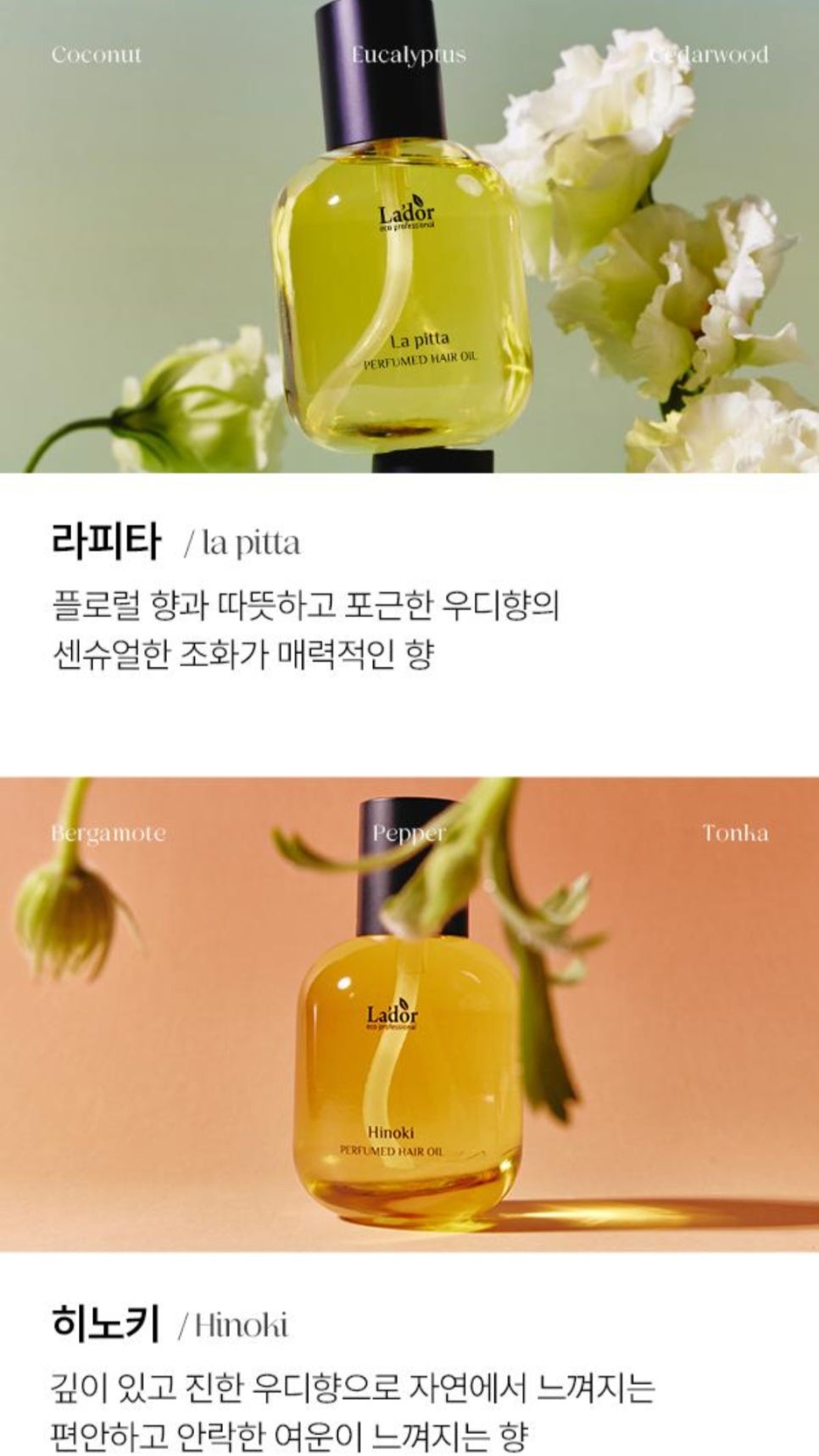 아도르헤어 이미지