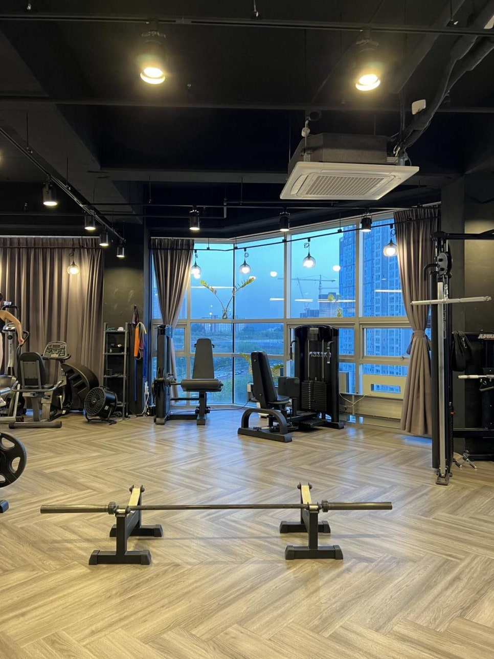 피티나인 이미지
