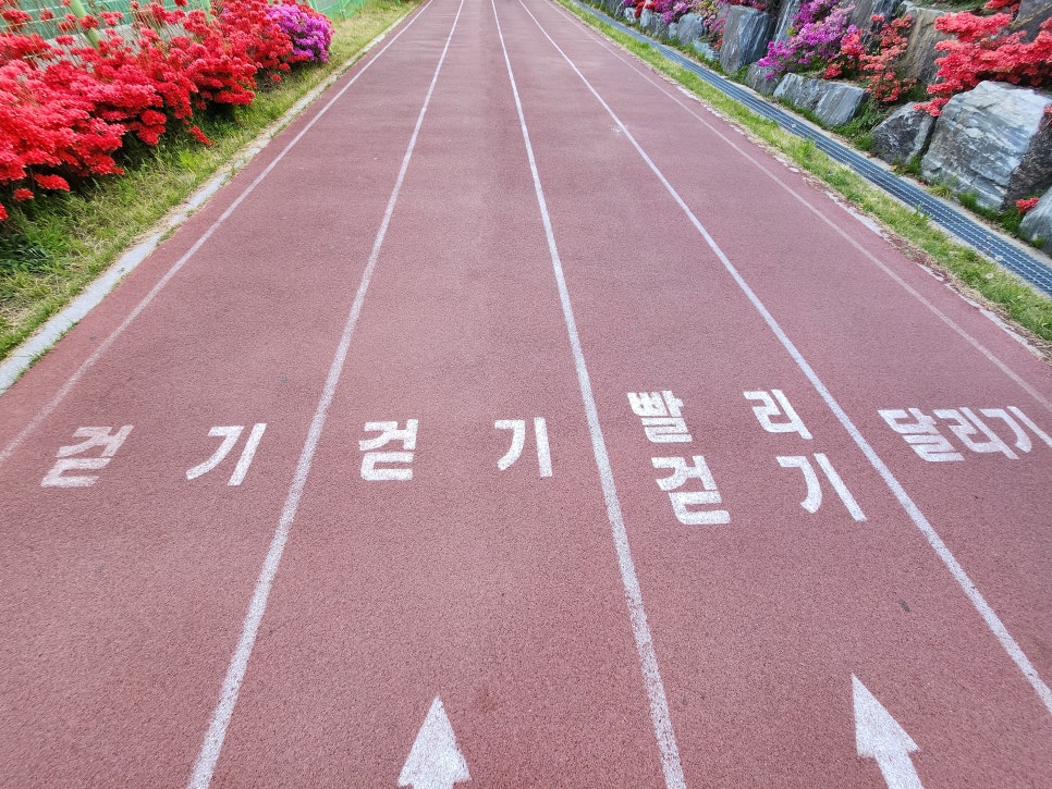 인평 이미지