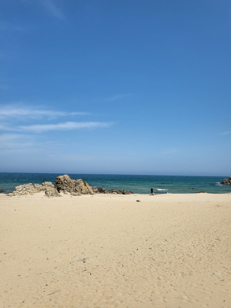 카페동호 이미지