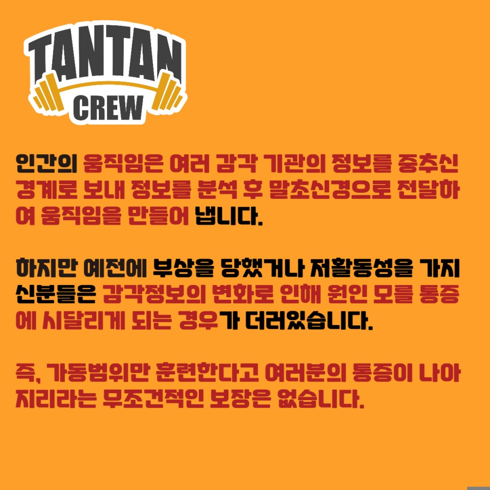 탄탄짐 이미지
