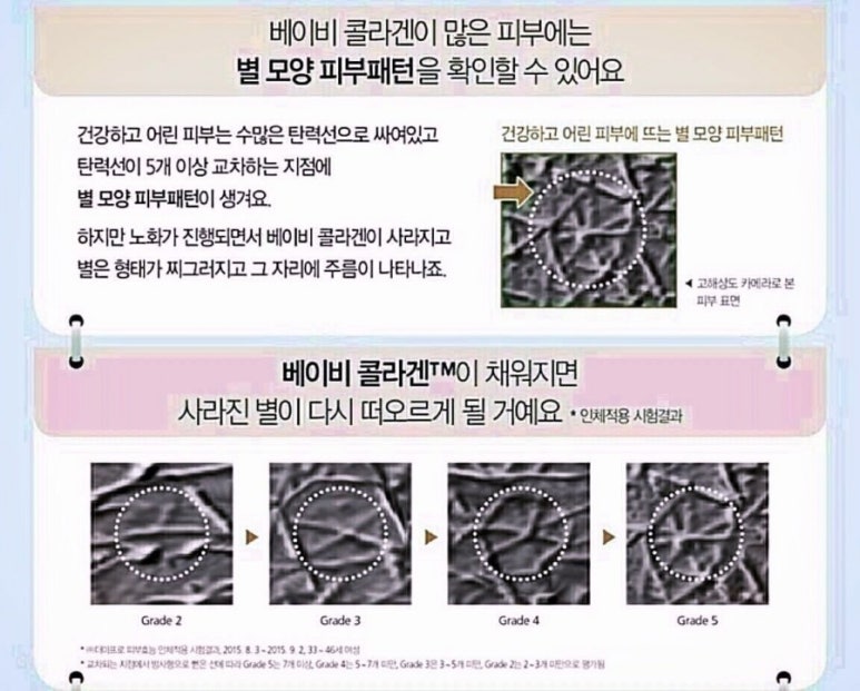 퍼스트기획 이미지