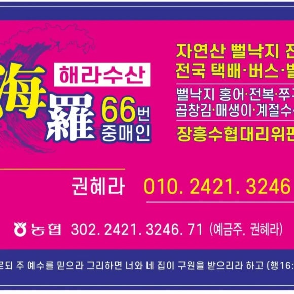 ６６번중매인 이미지