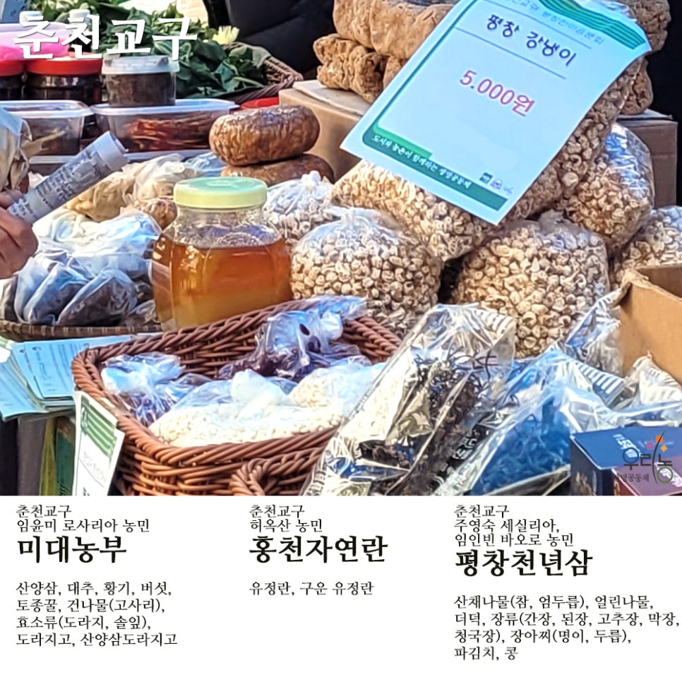 평창천년삼 이미지