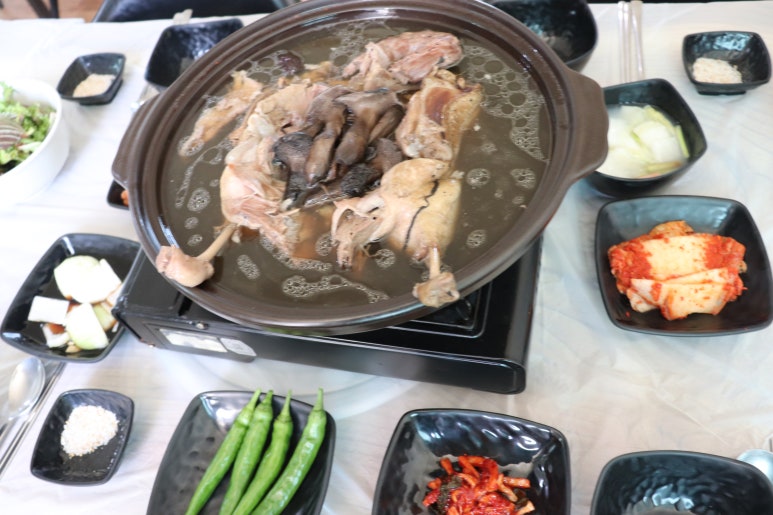 청산오리 이미지