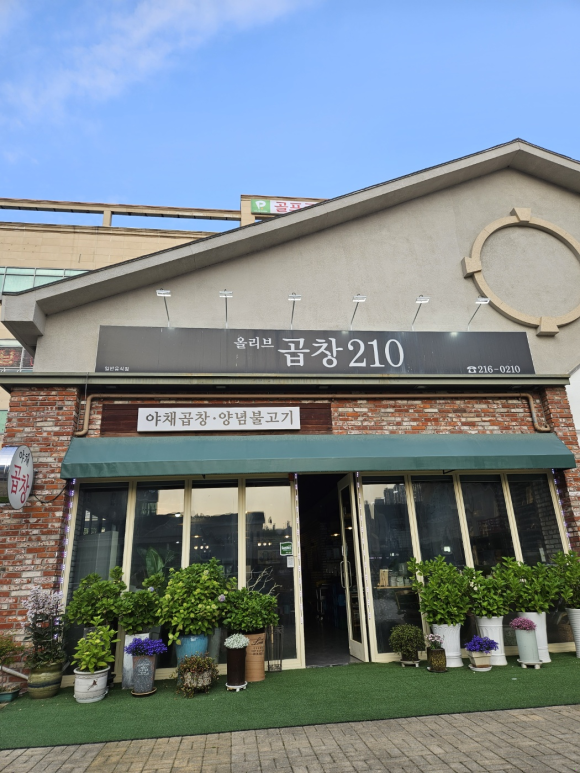 올리브곱창210 이미지