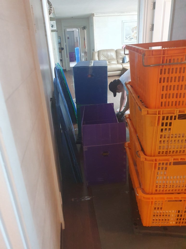 일산포장 이미지