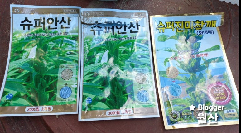 향수농약사 이미지